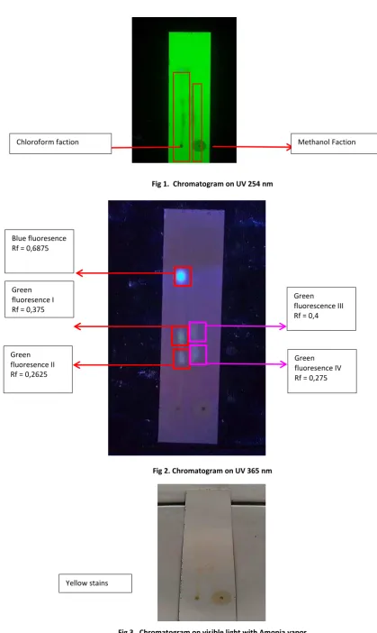 Fig 3.  Chromatogram on visible light with Amonia vapor 