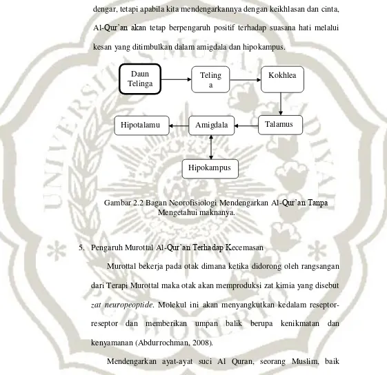 Gambar 2.2 Bagan Neorofisiologi Mendengarkan Al-Qur’an Tanpa 