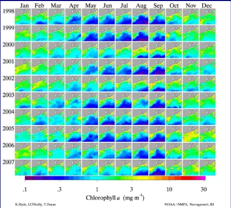 Figure 2.22. Monthly averaged chlorophyll Ocean SAMP area (from Hyde 2009). There is distinct seasonality, as well as greater phytoplankton growth nearshore where shallower water, increased nutrient availability, and warmer waters all combine to improve gr