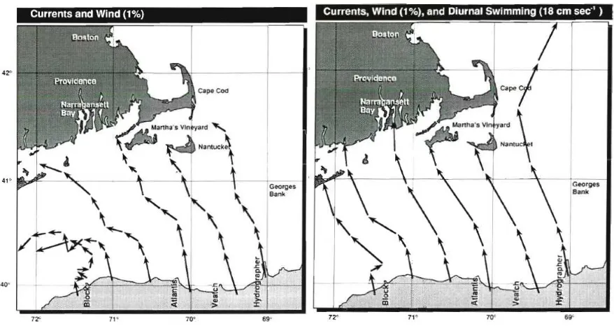 Figure 2.24. Lobster larval transport from the edge of the Continental Shelf into Rhode Island Sound and Block Island Sound (from Katz et al