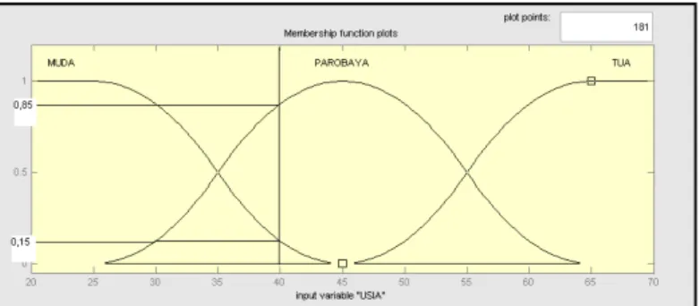 Gambar 2  Fungsi keanggotaan ”USIA” dengan representasi sigmoid. 