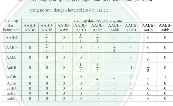 Tabel 3. Peluang genotip dari persilangan atau perkawinan silang individu  yang normal dengan heterezigot dan carier