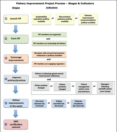 Figure 1.  The Fishery Improvement Project Framework 