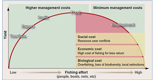 Figure 1. The Fisheries Management Dilemma (SOURCE: Beddington et al 2007) 