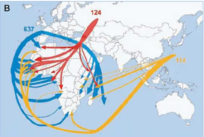 Figure 2. Displacement of Industrial Fishing Capacity from Developed Nations to Africa and IUU Fishing (Source: Worm et al