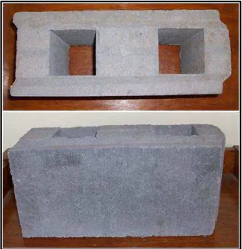 Gambar 4. Produk lockbrick beton Tlb-1  Sumber: Habsya, 2010 