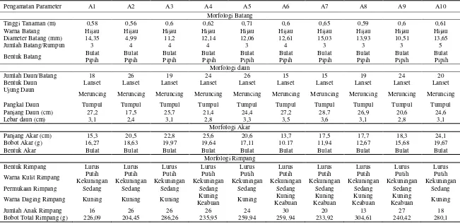 Tabel 4. Karakter-karakter morfologis Jahe 