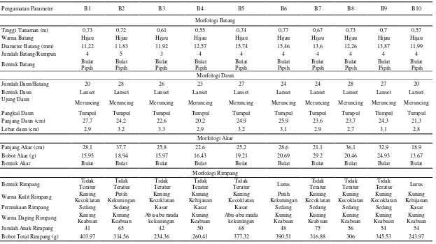 Tabel 5. Karakter-karakter morfologis Jahe 