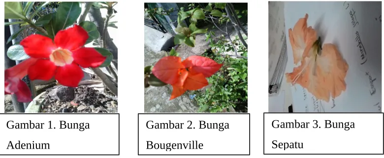 Gambar 3. Bunga 