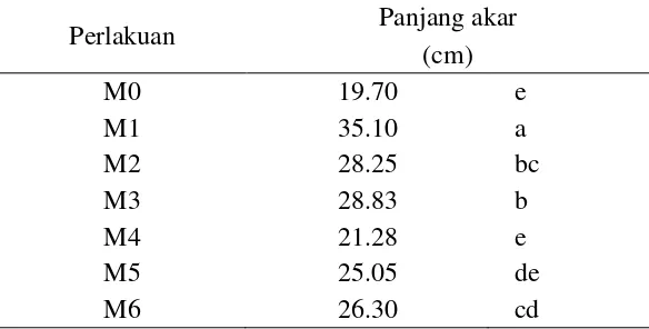 Tabel 5. Rataan panjang akar bibit tanaman karet dengan pemberian seed coating mikroorganisme dari biji karet sehat (cm) 