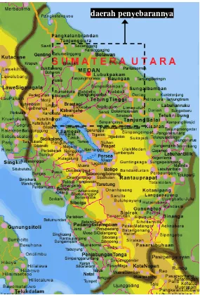 Gambar 2.1. Peta daerah penyebaran suku bangsa Tamil di Sumatera Utara. 