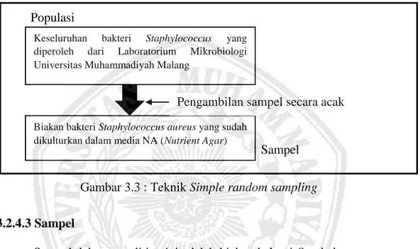 Gambar 3.3 : Teknik Simple random sampling  Pengambilan sampel secara acak 