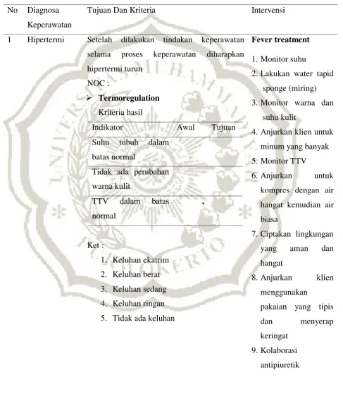 Tabel 2.1 Rencana Asuhan Keperawatan 