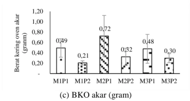 Gambar 3  Pertumbuhan  stek  cabang  bambu  betung  umur  22  MST:  (a)  panjang  tunas,  (b)  persentase  hidup,  (c)  jumlah tunas, (d) jumlah daun, dan (e) BKO akar (M1P1=tanah dengan akar adventif, M1P2=tanah tanpa  akar  adventif,  M2P1=tanah+arang  s