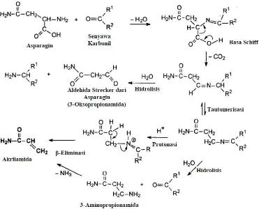 Gambar 2.2. Skema pembentukan akrilamida melalui reaksi Maillard