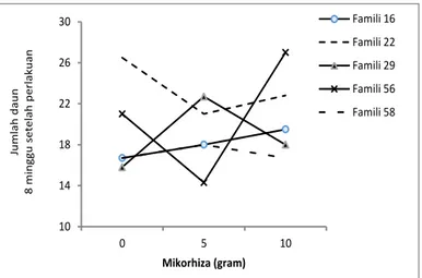 Gambar 2.   Interaksi  antara  famili  dan  level  mikoriza  pada  tinggi  semai  C.  calothyrsus  setelah  4  minggu  perlakuan  101418222630 0 5 10
