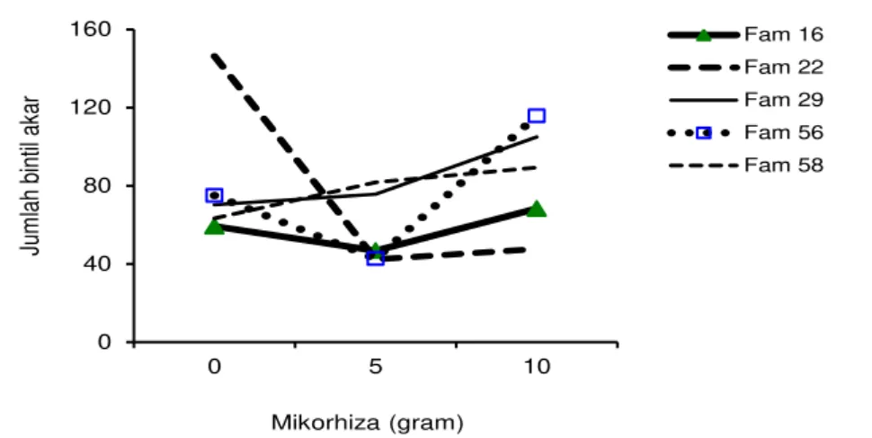 Gambar 3.   Interaksi antara famili dan level mikoriza terhadap jumlah bintil akar semai C
