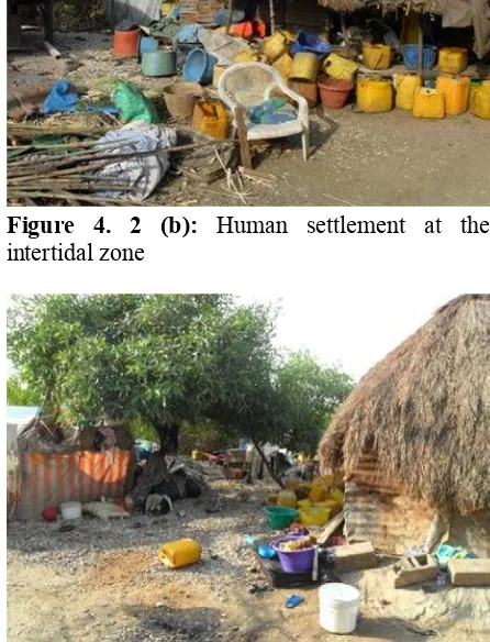 Figure 4. 2 (b):  Human settlement at the 