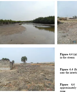 Figure 4.4 (c): An open grave yard approximately 100 meters from the intertidal zone 