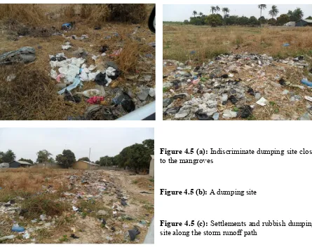 Figure 4.5 (a): Indiscriminate dumping site close 
