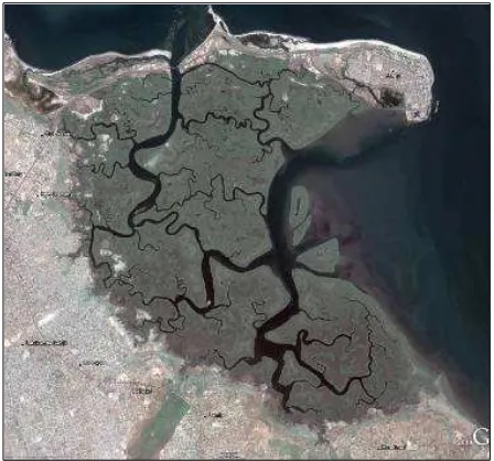 Figure 2. 1: Satellite image of The Tanbi Wetlands area 
