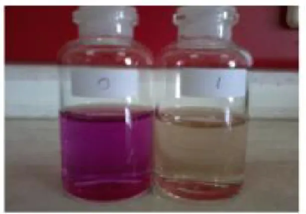 Gambar C.6 a) Ilustrasi adsorpsi remazol violet 5R pada permukaan anoda, b) Ilustrasi proses  elektrodekolorisasi remazol violet 5R pada permukaan anoda 