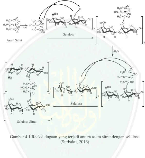 Gambar 4.1 Reaksi dugaan yang terjadi antara asam sitrat dengan selulosa  (Surbakti, 2016) 
