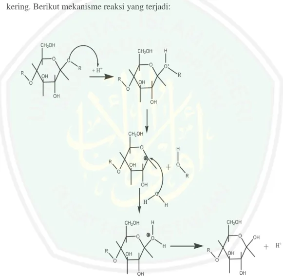 Gambar 4.1 Mekanisme reaksi hidrolisis selulosa oleh asam (Loow, 2016) 