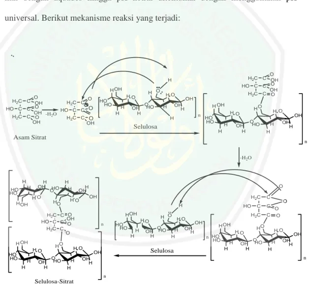 Gambar  4.3  Mekanisme  reaksi  esterifikasi  selulosa  dengan  asam  sitrat  (Thanh,  2009) 
