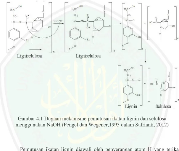 Gambar 4.1 Dugaan mekanisme pemutusan ikatan lignin dan selulosa  menggunakan NaOH (Fengel dan Wegener,1995 dalam Safrianti, 2012) 