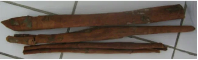 Gambar 3. Kulit batang kayu manis 