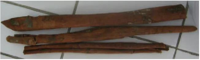 Gambar 3. Kulit batang kayu manis 