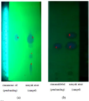 Gambar 11. (a) Kromatogram minyak atsiri hasil destilasi dengan pembanding cinnamomi oil teknis pada deteksi UV 254 nm 