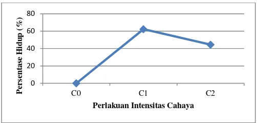 Tabel 4.5. Analisis Sidik Ragam Terhadap Persentase Tumbuh Tanaman. 
