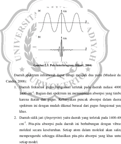 Gambar 2.5. Pola interferogram (Stuart, 2004) 