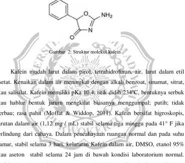 Gambar  2: Struktur molekul kafein 