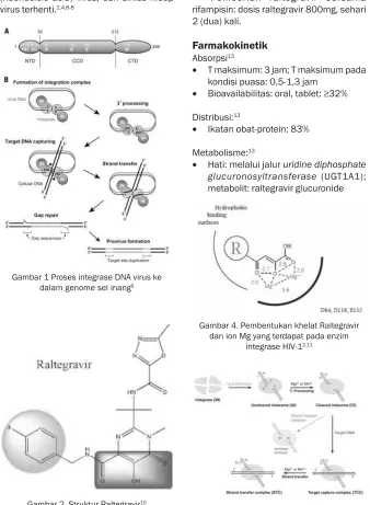 Gambar 2. Struktur Raltegravir10