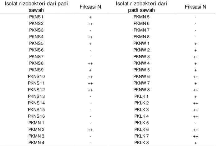 Tabel 2. Kemampuan isolat r izobakter i dar i r izosfer  padi saw ah untuk memfiksasi Nitr ogen