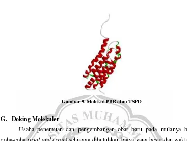 Gambar 9. Molekul PBR atau TSPO 
