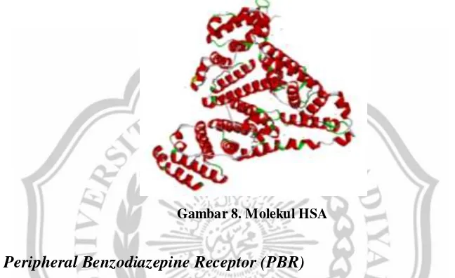 Gambar 8. Molekul HSA 