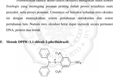 Gambar 2.2 Struktur DPPH (Kurniawan. 2011) 