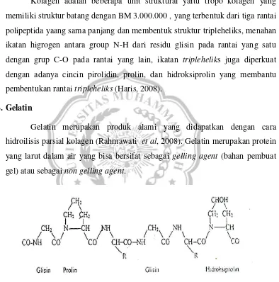 Gambar 1. Struktur kimia gelatin (Poppe, 1992) 