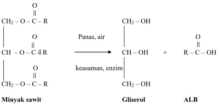 Gambar.1 Reaksi hidrolisis trigliserida 
