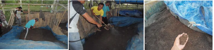 Fig. 1. Biocomposting process of organic materials (rice straw, leaf litter and cattle dung)