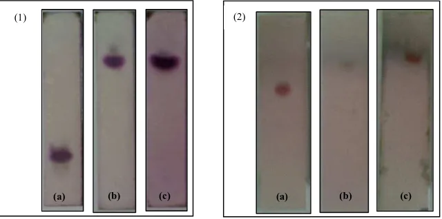 Fig 3. TLC profile of isolate X (1) and Y (2) with Silica gel 60 F 254 as stationary phase and mobile phase CHCl3-MeOH (47:3) (a), CHCl3-MeOH (5:2) (b), and CHCl3-MeOH-Aceton (3:1:3) using Vanillin-HSO (1) and Anisaldehid-H2SO4 (2) as spray reagent 