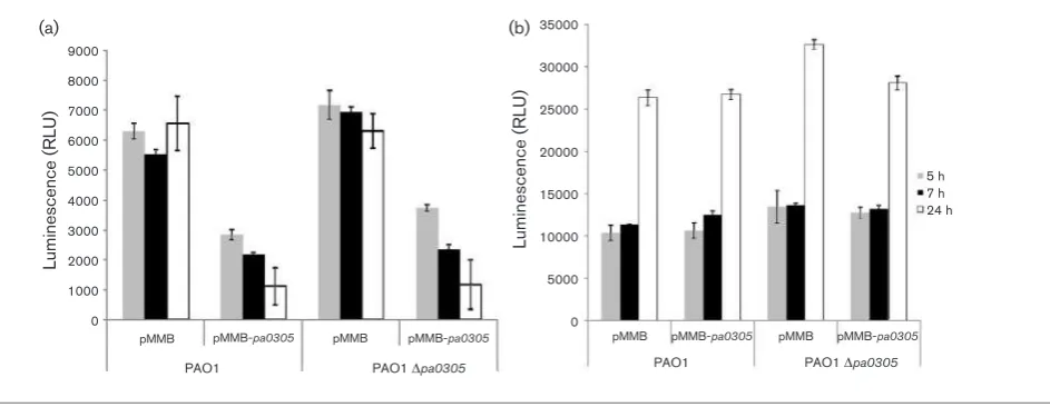 Fig. 6. Effects of PA0305 overexpression on virulence factor production inpa0305respective strains are shown