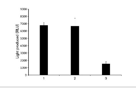 Fig. 2. Activity of cell-free extract ofempty vector; 3, Cproducing PA0305his. Error bars,relative light units (RLU)