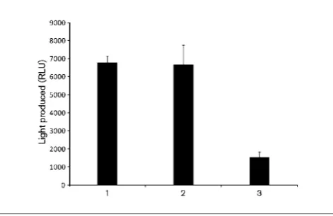 Fig. 2. Activity of cell-free extract ofempty vector; 3, Cproducing PA0305his. Error bars,relative light units (RLU)