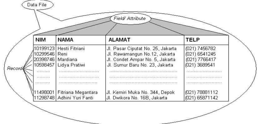 Gambar 1. Contoh sebuah data file7. Database atau Basis Data