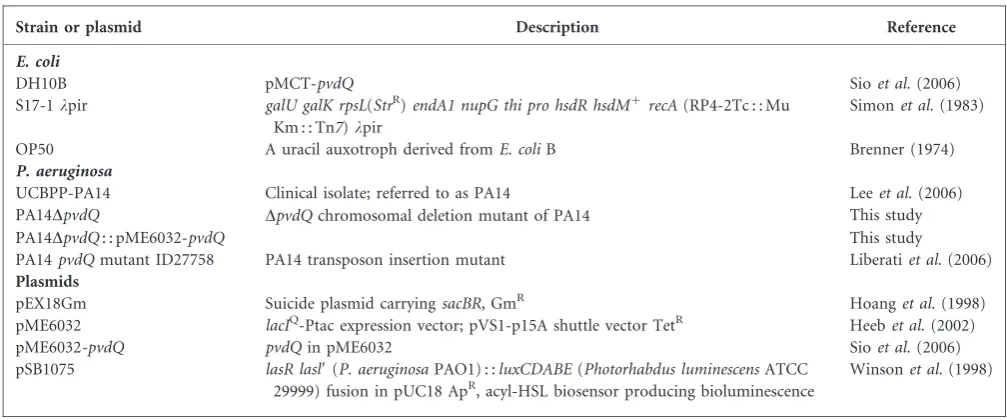 Table 1. Strains and plasmids used in this study